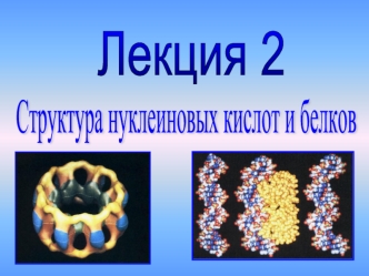 Структура нуклеиновых кислот и белков