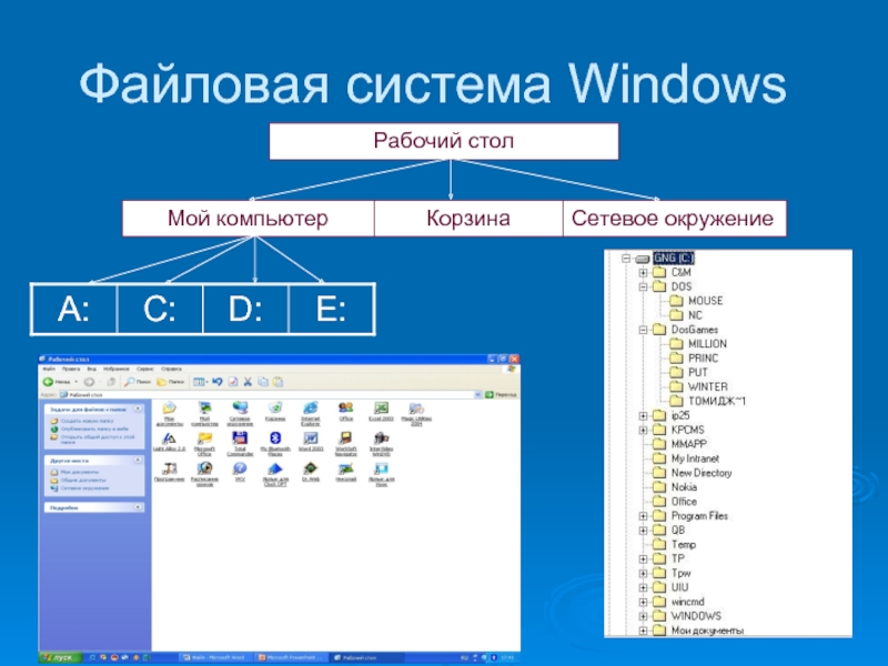 Операционная система windows файловая система. Принципы организации файловых систем Windows. Файловая система виндовс 10. Структура файловой системы ОС. Файловая структура операционных систем операции с файлами.