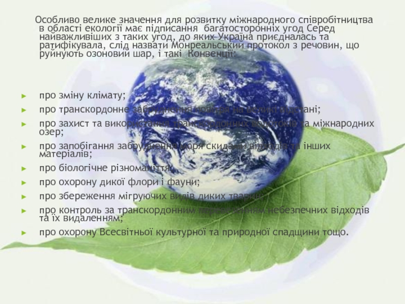 Реферат: Діяльність уряду України в галузі екології