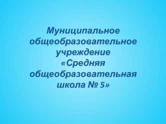 Муниципальное  общеобразовательное учреждение Средняя общеобразовательная школа № 5