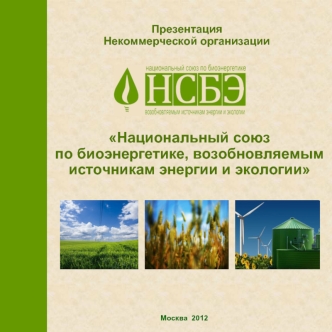 Национальный союз 
по биоэнергетике, возобновляемым источникам энергии и экологии