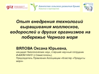 Опыт внедрения технологий выращивания моллюсков, водорослей и других организмов на побережье Черного моря