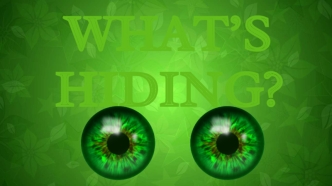 What’s hiding?