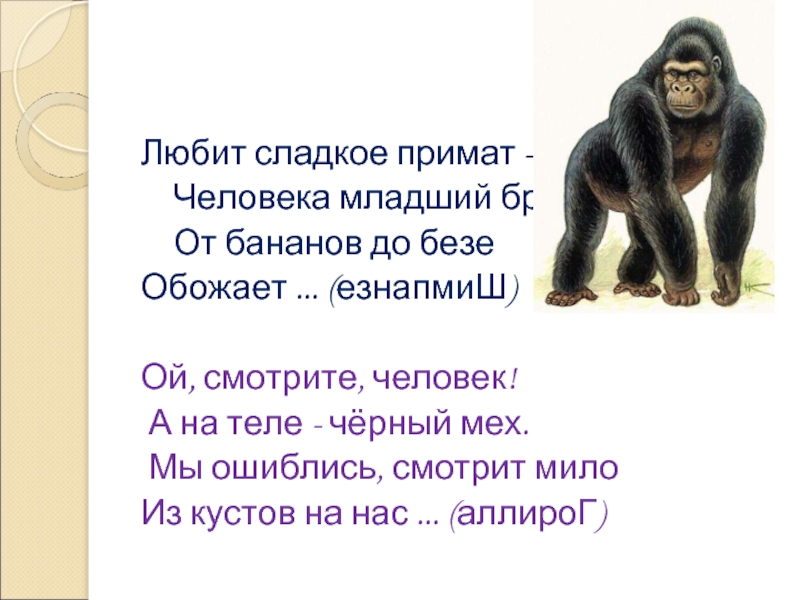 Человек это примат. Стих примат и человек. Вставьте пропущенные слова приматы человек это приматы.