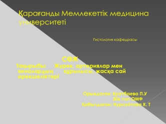 Жүрек, артериялар мен веналардың құрылысы, жасқа сай ерекшеліктері