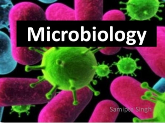 Microbiology. Sub groups of Microbes