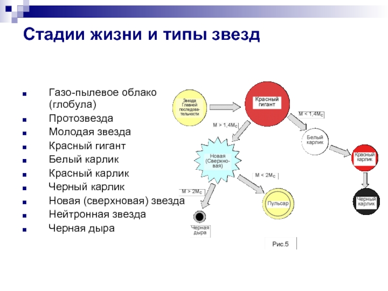 Жизненный цикл звезды схема