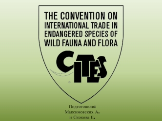 Конвенция о международной торговле видами дикой фауны и флоры