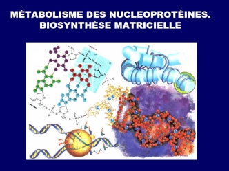 Métabolisme des nucleoprotéines. Biosynthèse matricielle