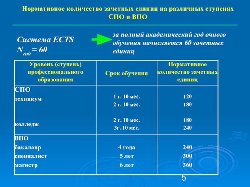 Как считать зачетные единицы в учебном плане