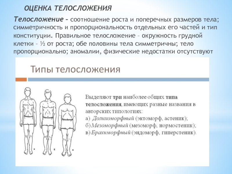 Конституция человека может быть. Конституциональные типы телосложения. Оценка телосложения. Оценка типа телосложения. Методы оценки типа телосложения Конституции тела.