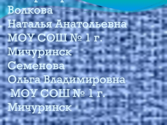 Авторы проекта:Волкова Наталья АнатольевнаМОУ СОШ № 1 г. МичуринскСеменова Ольга Владимировна МОУ СОШ № 1 г. Мичуринск