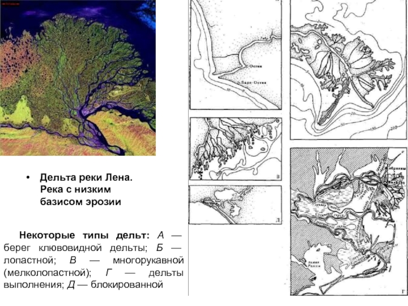 Типы рек по рельефу. Форма дельты реки. Дельта реки Лена. Типы речных дельт. Лопастная Дельта.