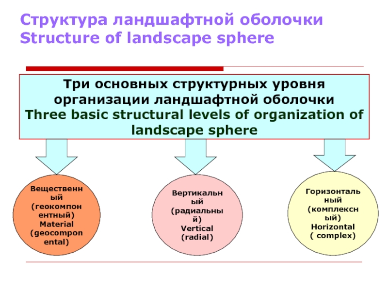 Структура ландшафта