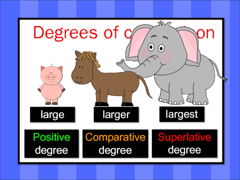 Compare animals. Degrees of Comparison картинки. Degrees of Comparison of adjectives. Degrees of Comparison для детей. Comparatives картинки.