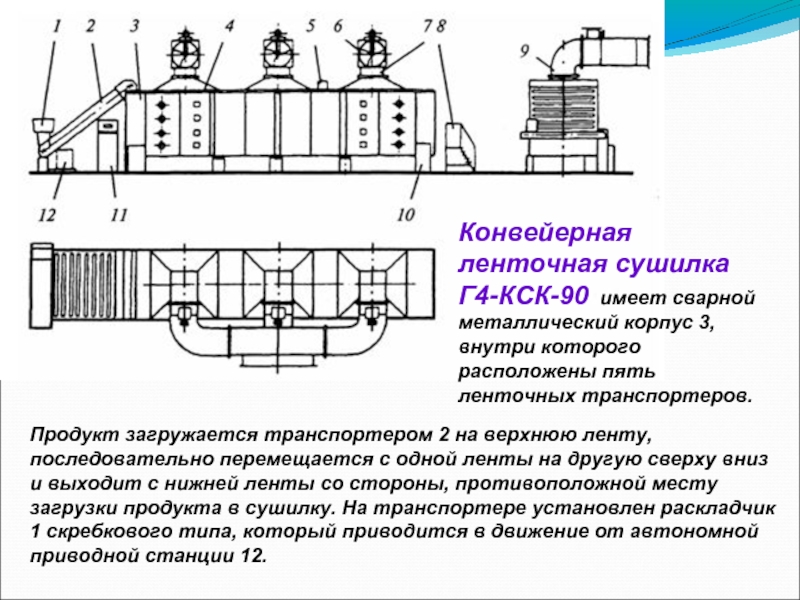 Ленточная сушилка схема