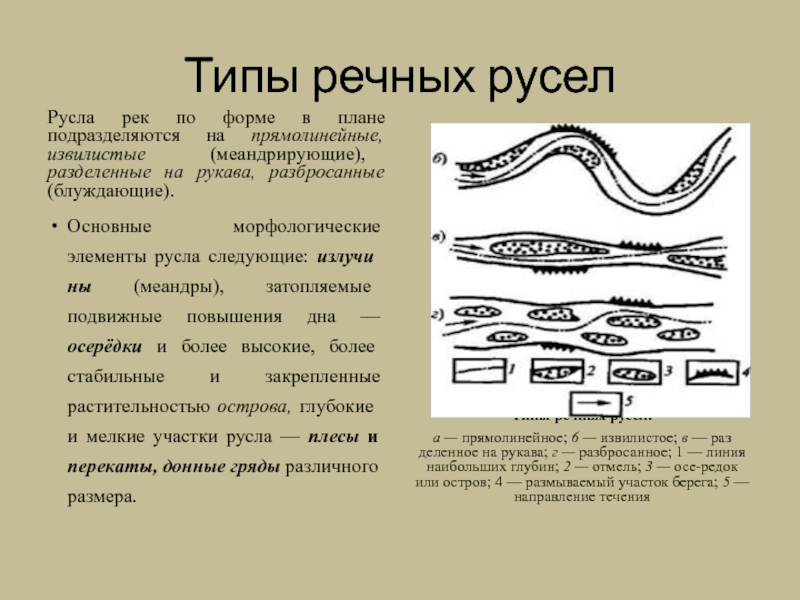 Типы рек. Форма русла в плане. Формы речных русел. Элементы речного русла. Морфологические элементы русла.