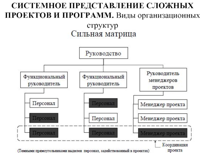 Организация представившееся как. Виды организационных структур. Виды приложений.