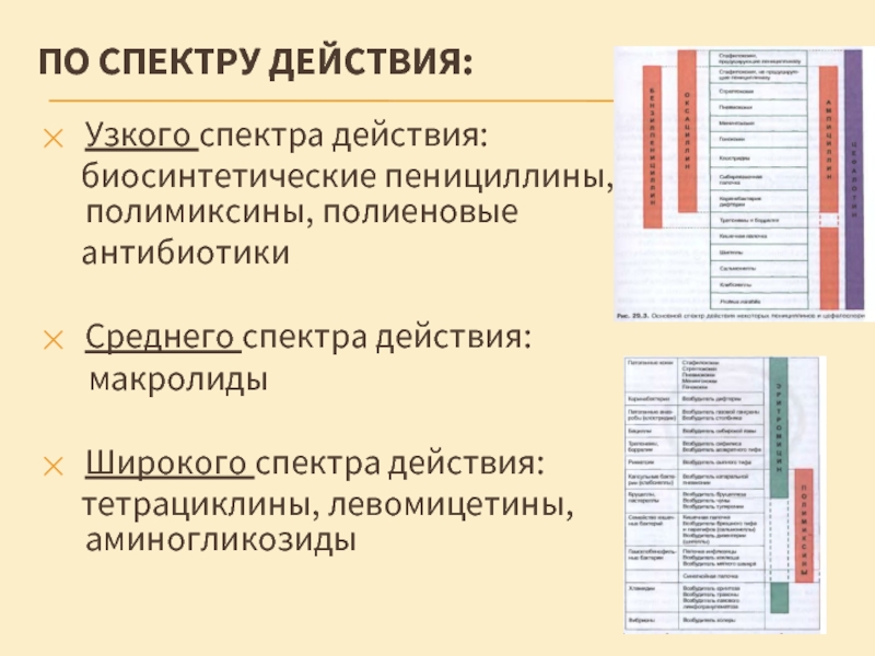 Спектр действия природных антибиотиков. Широкий и узкий спектр антибиотиков. Антибиотики широкого и узкого спектра. Антибиотик широкого действия.