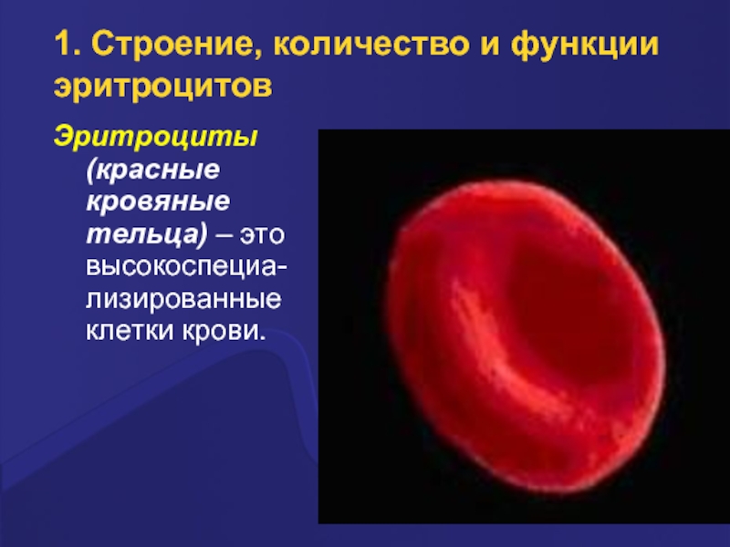 Строение эритроцитов. Красные кровяные тельца. Лизированные эритроциты. Красные кровяные тельца функции. Строение и функция красных кровяных Телец.