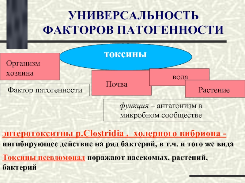 Микробного антагонизма схема