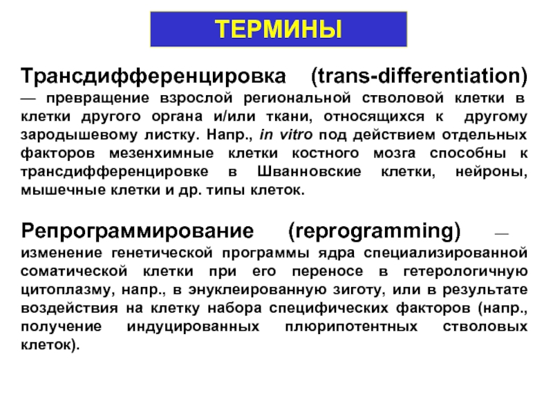 Трансдифференцировка (trans-differentiation) — превращение взрослой региональной стволовой клетки в клетки другого органа