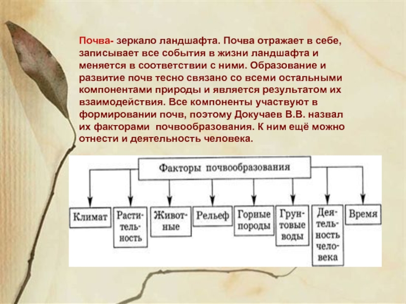 Почва зеркало ландшафта презентация