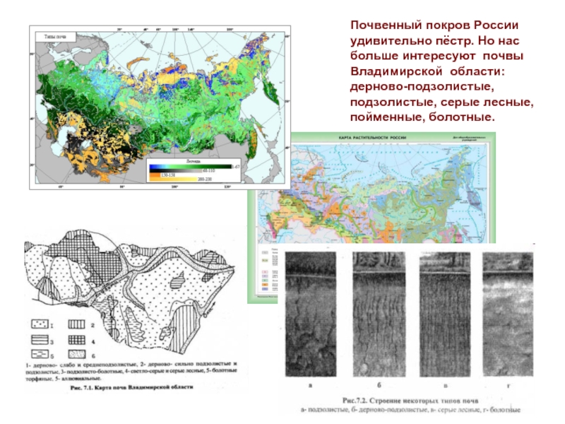 Карта рельефа владимирской области