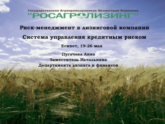 Риск-менеджмент в лизинговой компании
Система управления кредитным риском