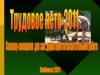 Трудовое лето-2011