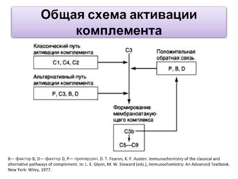 Групповая схема терапия