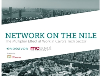 Network on the Nile: The Cairo Tech Sector