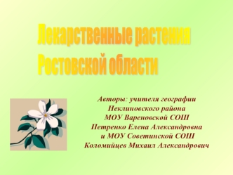 Лекарственные растения Ростовской области