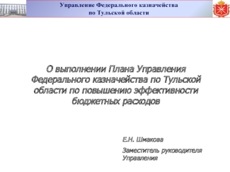 О выполнении Плана Управления Федерального казначейства по Тульской области по повышению эффективности бюджетных расходов