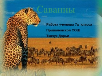 Саванны