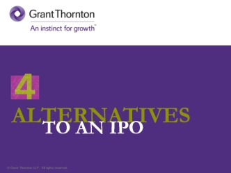 ALTERNATIVES        TO AN IPO