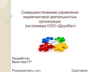 Совершенствование управления маркетинговой деятельностью организации ООО Дружба