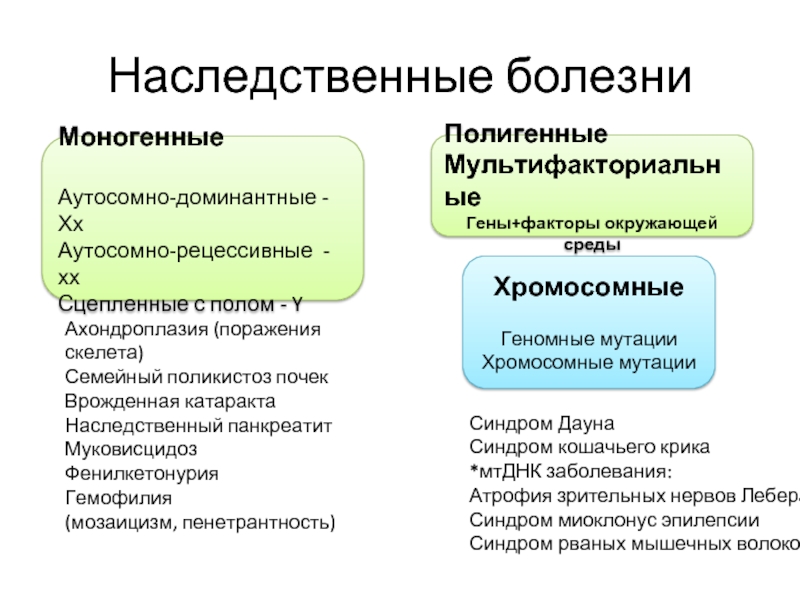 Примеры полигенных признаков у человека и закономерности их наследования генетические схемы