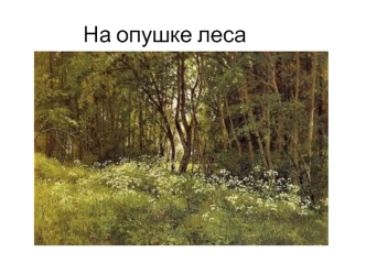 На опушке леса