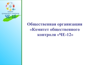 Общественная организация Комитет общественного контроля ЧЕ-12