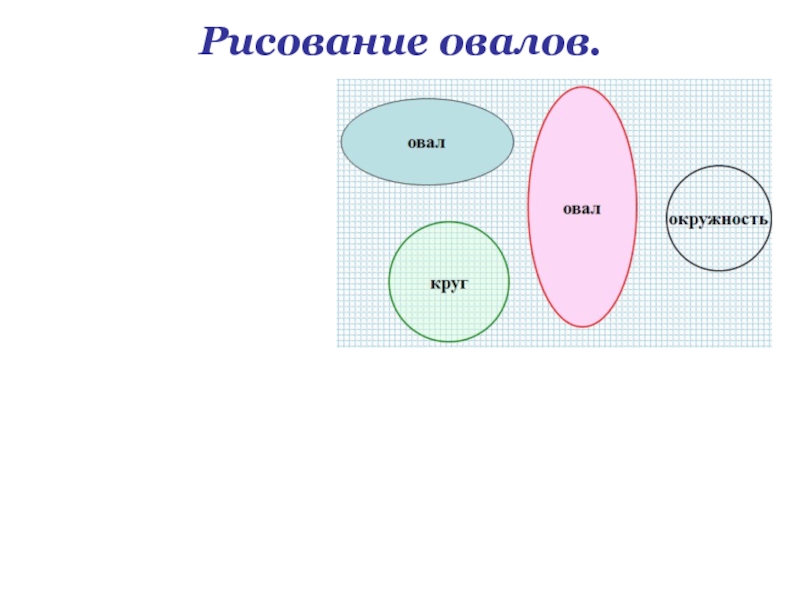 Нарисуй овалы для множеств еда овощи