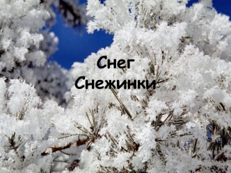 СнегСнежинки