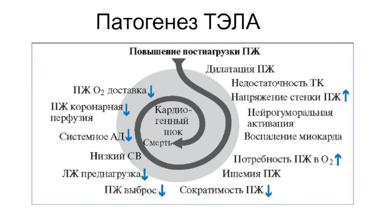 Тромбоэмболия легочной артерии презентация патофизиология