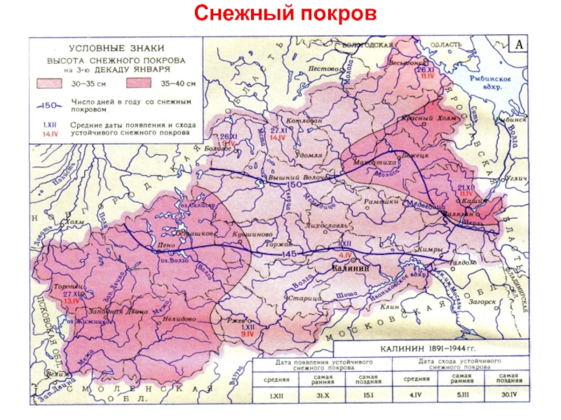 Реферат: География Тверской области