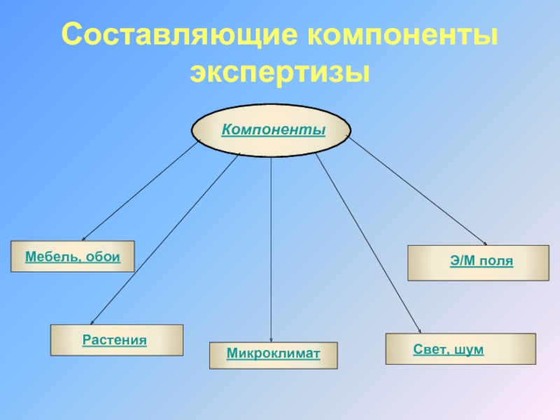 Составляющий компонент. Растительность и микроклимат. Компоненты экспертизы.