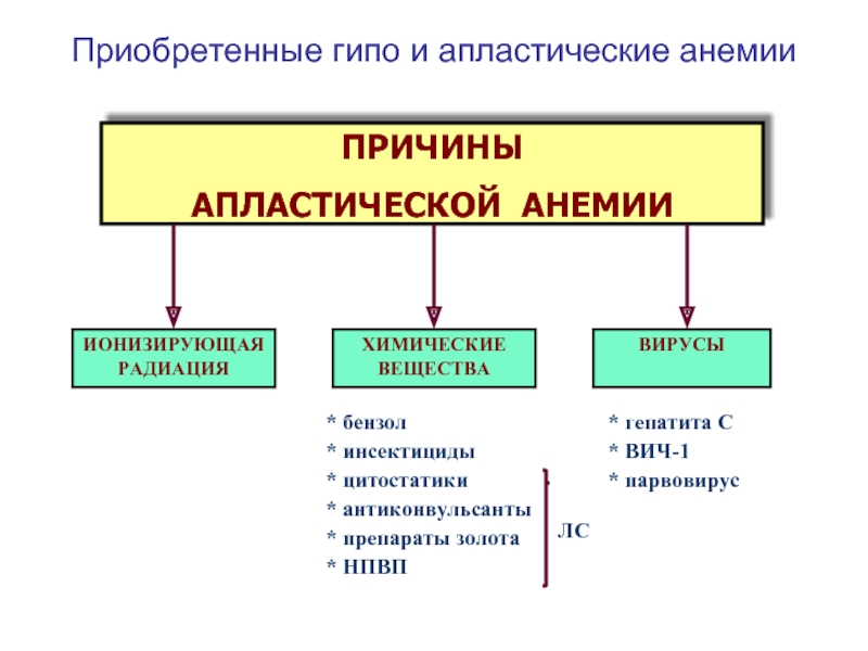 Клиническая картина приобретенной апластической анемии складывается из синдромов кроме