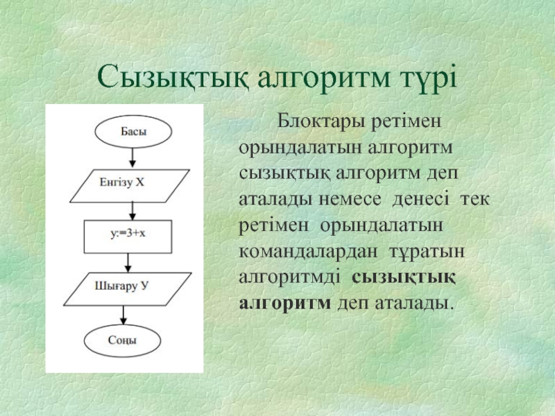 Блок схема дегеніміз