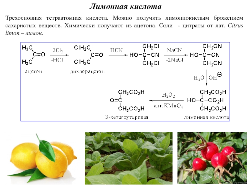 Фруктовые кислоты презентация по химии