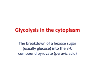 Glycolysis in the cytoplasm