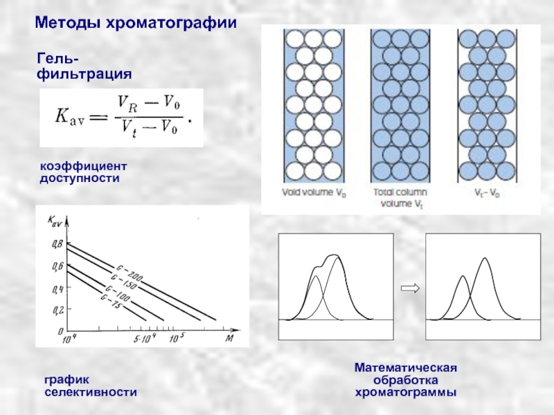 Метод гель фильтрации